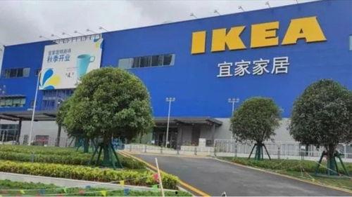 宜家最新爆料,创新设计引领家居潮流